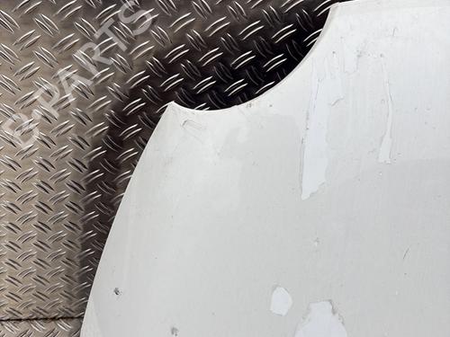 Hood FIAT 500 (312_) 1.3 D Multijet (312AXB1A) | BP30114998C1 