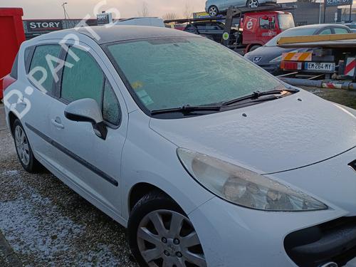 Tailgate PEUGEOT 207 SW (WK_) 1.6 HDi | BP31290310C6 