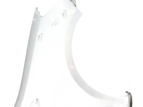 Used Right front fenders RENAULT CLIO III (BR0/1, CR0/1) 1.5 dCi (BR17, CR17) (86 hp) 27258547