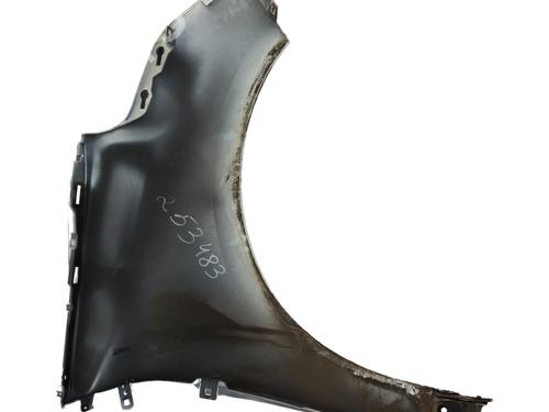 Left front fenders RENAULT GRAND SCÉNIC IV (R9_) 1.5 dCi 110 (R9A3) | BP30078053C41 
