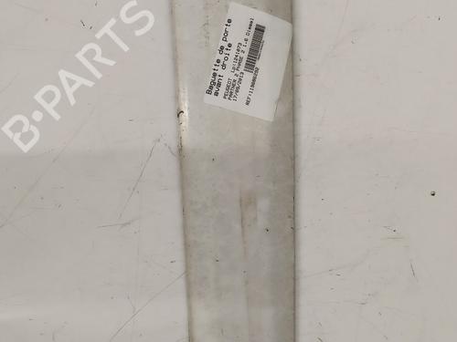 door-moulding-trim-peugeot-partner-box-bodympv-2008-32114786 main image