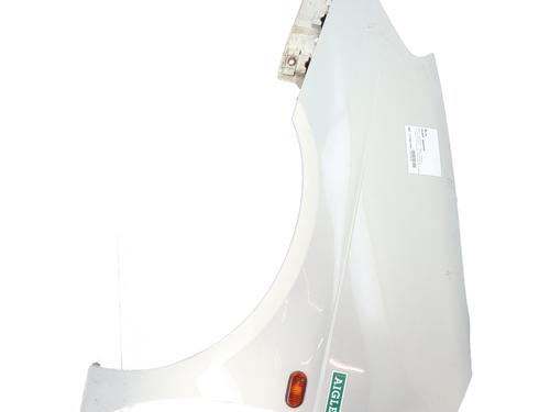 Used Left front fenders RENAULT SCÉNIC I MPV (JA0/1_, FA0_) 1.6 (JA00, JA16, JA15, JA19, JA1V, JA2B, JA2C, JA0B,... (107 hp) 30861294