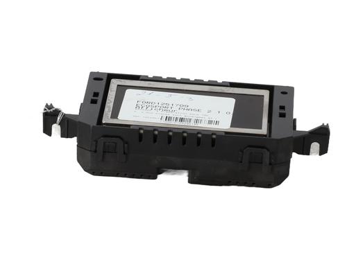 Display FORD ECOSPORT 1.0 EcoBoost (125 hp) 25406147
