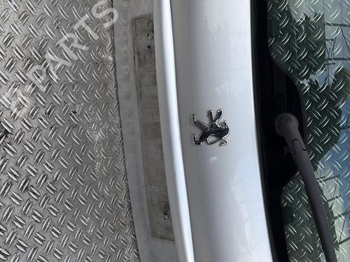 Tailgate PEUGEOT 206+ (2L_, 2M_) 1.1 | BP29252780C6 