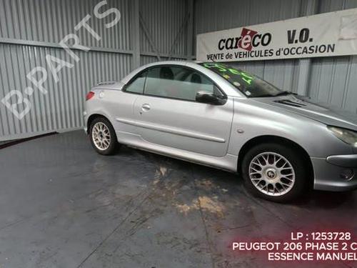 Grille PEUGEOT 206 CC (2D) 1.6 16V (2DNFUF, 2DNFUR) | BP29449123C40