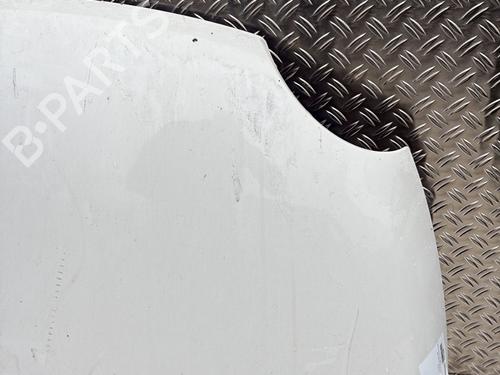 Hood FIAT 500 (312_) 1.3 D Multijet (312AXB1A) | BP30114998C1 