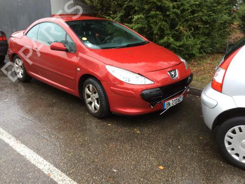 Tailgate lift support PEUGEOT 307 CC (3B) 2.0 HDi 135 | BP21303656C138 