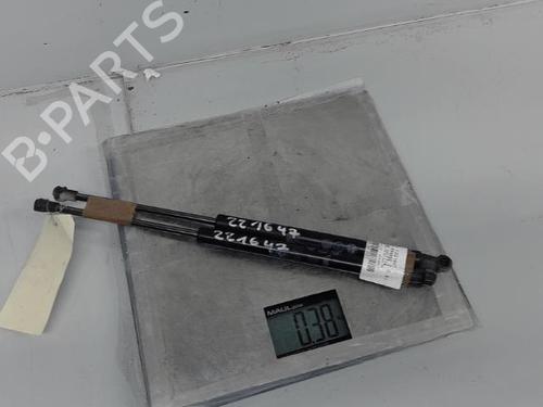 Used Tailgate lift support Tailgate lift support FIAT PANDA (312_, 319_) 0.9 4x4 (312PXG1A) (86 hp) 21297576 21297576