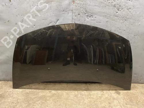 Hood RENAULT CLIO III (BR0/1, CR0/1) 1.5 dCi (BR17, CR17) | BP21315259C1