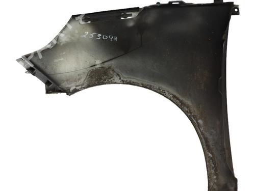 Used Right front fenders RENAULT SCÉNIC III (JZ0/1_) 1.5 dCi (110 hp) 29039091