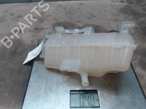 Used Expansion tank RENAULT KANGOO Express (FW0/1_) 1.5 dCi 75 (FW07, FW10, FW04) (75 hp) 21301596