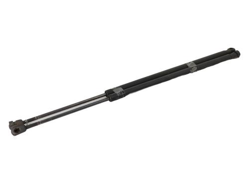 Used Tailgate lift support FORD FIESTA V (JH_, JD_) [2001-2014]  21363489