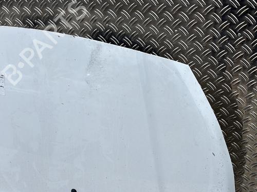 Hood FORD TRANSIT CONNECT V408 Box Body/MPV 1.5 TDCi | BP25741703C1