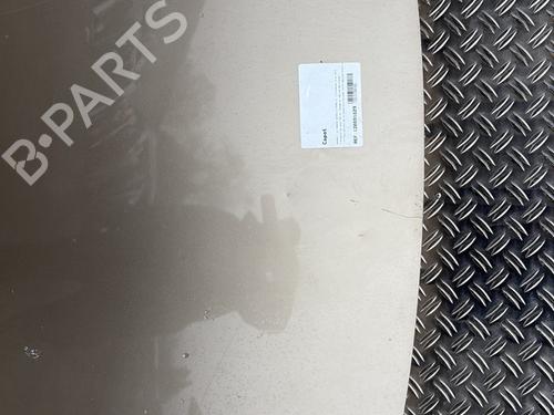 Used Hood Hood RENAULT SCÉNIC III (JZ0/1_) 1.2 TCe (JZ16) (132 hp) 32209869 32209869