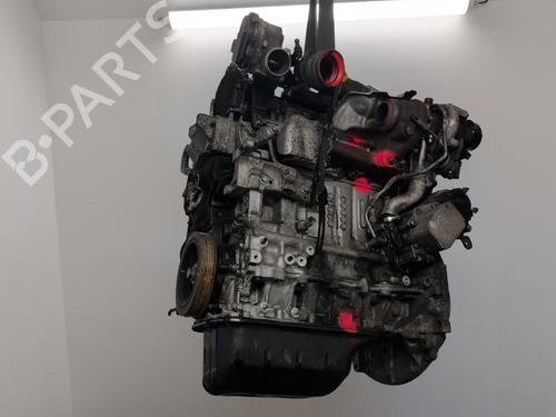 Motor FORD FIESTA VI (CB1, CCN) 1.6 TDCi | BP28170487M1 