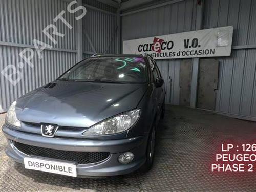 Left taillight PEUGEOT 206 SW (2E/K) 1.6 16V | BP37038663C34 - Image 33