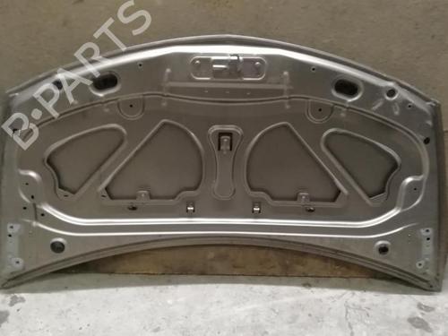 Motorhjelm Motorhjelm RENAULT CLIO III (BR0/1, CR0/1) 1.2 16V (BR02, BR0J, BR11, CR02, CR0J, CR11) (75 hp) 21305821 21305821