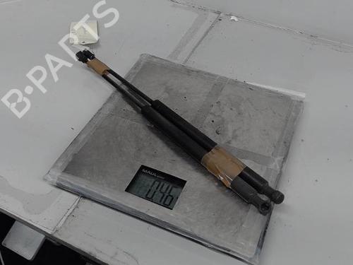 Tailgate lift support PEUGEOT 307 (3A/C) 1.6 16V | BP21364452C138 