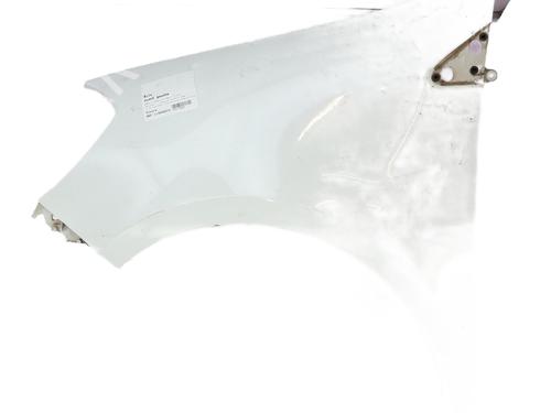 Used Left front fenders RENAULT CLIO III (BR0/1, CR0/1) 1.5 dCi (BR17, CR17) (86 hp) 29398682