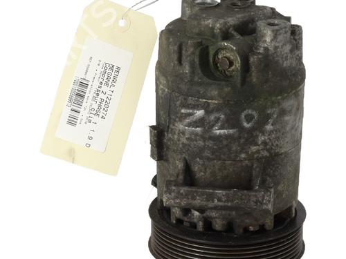 AC compressor RENAULT MEGANE II (BM0/1_, CM0/1_) 1.9 dCi (BM0G, CM0G) | BP21301255M34
