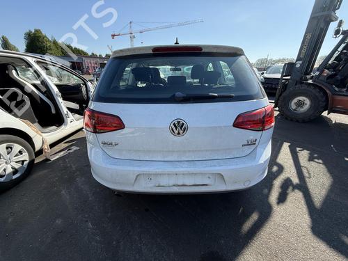 Engine VW GOLF VII (5G1, BQ1, BE1, BE2) 1.6 TDI | BP25713214M1 