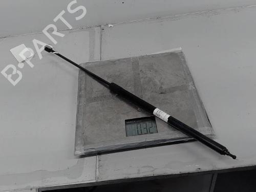 Hood lift support RENAULT MEGANE III Hatchback (BZ0/1_, B3_) 1.5 dCi (BZ09, BZ0D, BZ1W, BZ29, BZ14) | BP21364074C139 