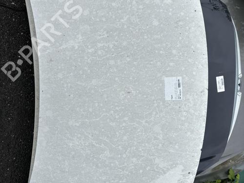 Used Hood PEUGEOT PARTNER Box Body/MPV (5_, G_) 2.0 HDi (90 hp) 21298594