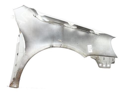 Left front fenders VW GOLF V (1K1) 1.9 TDI | BP27389181C41 