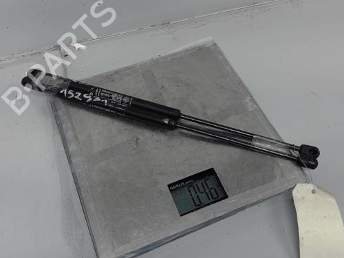 Tailgate lift support FIAT PUNTO (188_) 1.9 JTD 80 (188.237, .257, .337, .357) | BP21370078C138 
