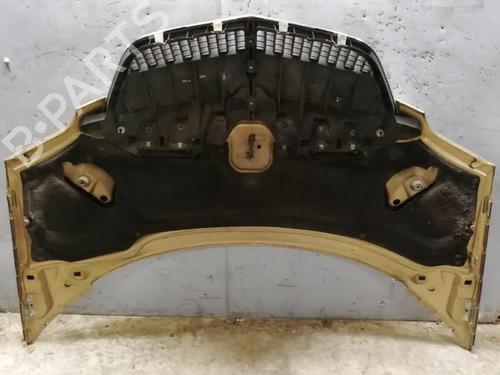 Hood LANCIA PHEDRA (179_) 2.2 JTD (179AXC1A) | BP21299930C1 