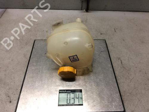 Used Expansion tank FIAT CROMA (194_) 1.9 D Multijet (115 hp) 21300207