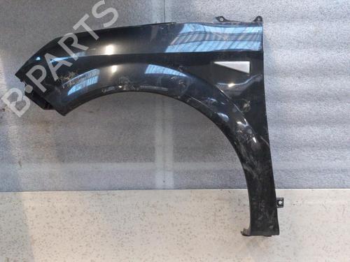 Left front fenders RENAULT SCÉNIC II (JM0/1_) 1.5 dCi (JM1E, JM16) | BP21323143C41 