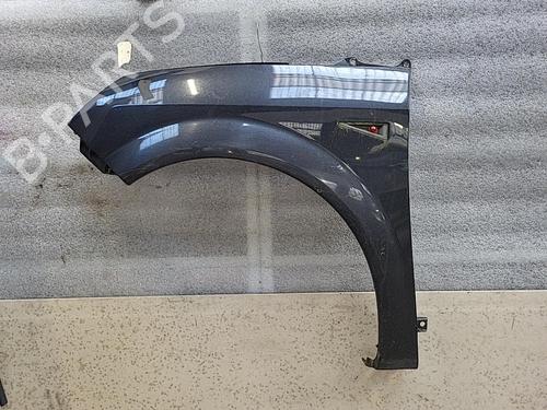 Left front fenders RENAULT SCÉNIC II (JM0/1_) 1.6 (JM0C, JM0J, JM1B) | BP21325287C41 