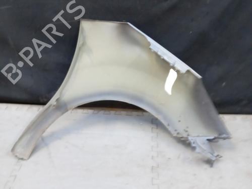 Left front fenders CITROËN C3 II (SC_) 1.4 HDi 70 (SC8HZC, SC8HR0, SC8HP4) | BP29422566C41 