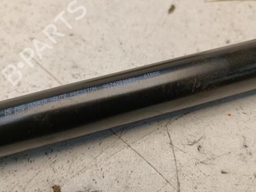 Tailgate lift support PEUGEOT 508 I (8D_) 2.0 HDi | BP22130688C138 