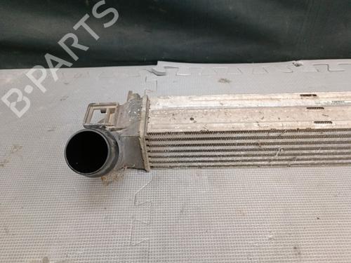 Used Intercooler Intercooler RENAULT SCÉNIC III (JZ0/1_) 1.5 dCi (110 hp) 22131115 22131115