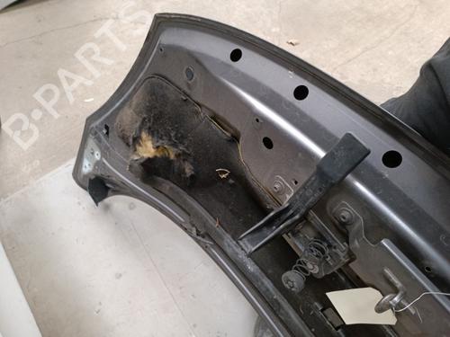 Hood RENAULT SCÉNIC III (JZ0/1_) 1.5 dCi | BP21325825C1 