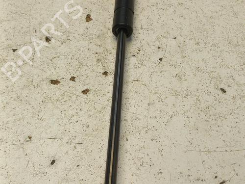 Used Tailgate lift support AUDI TT (8N3) 1.8 T (180 hp) 21325123