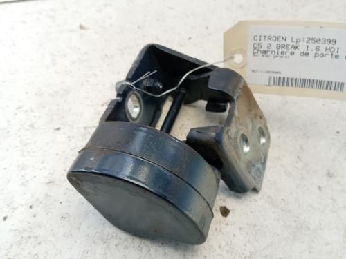 Used Hinge/Door check strap CITROËN C5 III Break (RW_) 1.6 HDi 110 (RW9HZC) (109 hp) 29273665
