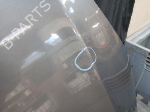 Hood CITROËN C3 II (SC_) 1.4 HDi 70 (SC8HZC, SC8HR0, SC8HP4) | BP29422569C1 