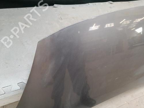 Hood RENAULT SCÉNIC III (JZ0/1_) 1.5 dCi | BP21325825C1 
