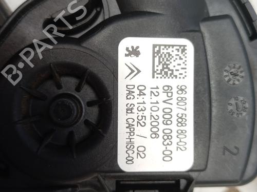 Used Pedal Pedal PEUGEOT 207 SW (WK_) 1.6 HDi (90 hp) 31601248 31601248
