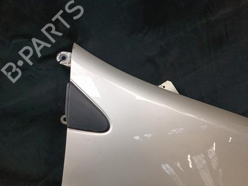 Right front fenders RENAULT CLIO III (BR0/1, CR0/1) 1.5 dCi (BR17, CR17) | BP21325979C42 
