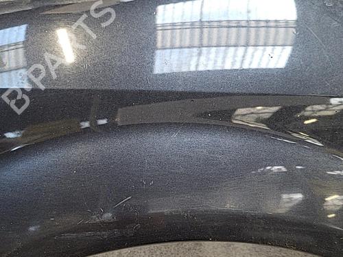 Left front fenders RENAULT SCÉNIC II (JM0/1_) 1.6 (JM0C, JM0J, JM1B) | BP21325287C41 
