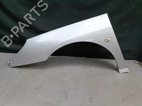 Used Left front fenders PEUGEOT 407 (6D_) 2.0 HDi (6DRHHA) (163 hp) 21325843