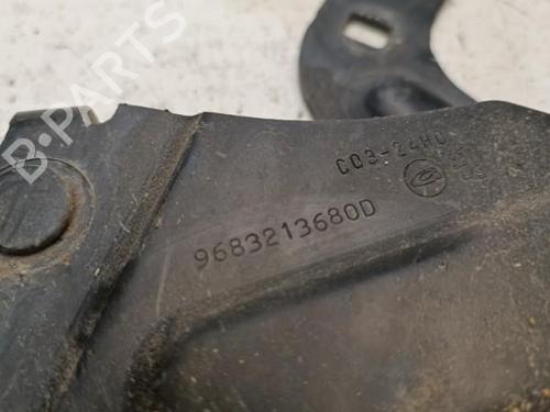 Hinge/Door check strap PEUGEOT 3008 I MPV (0U_) 1.6 THP | BP21325953C146 
