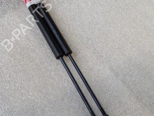 Used Tailgate lift support RENAULT CLIO IV (BH_) 1.5 dCi 75 (75 hp) 21324510