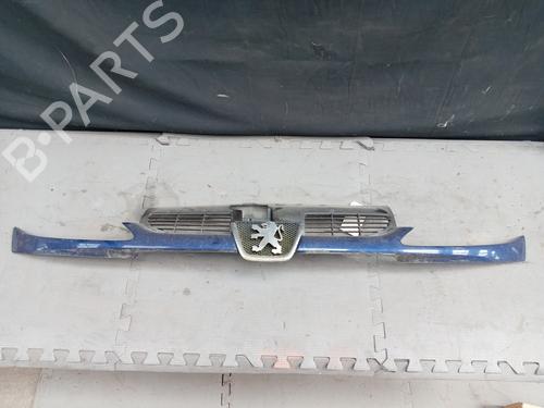 Used Grille PEUGEOT 206 Hatchback (2A/C) 1.4 HDi eco 70 (68 hp) 27723543