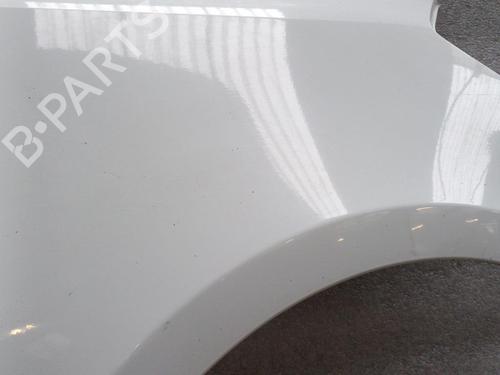 Right front fenders RENAULT CLIO III (BR0/1, CR0/1) 1.5 dCi (C/BR0G, C/BR1G) | BP21326479C42 