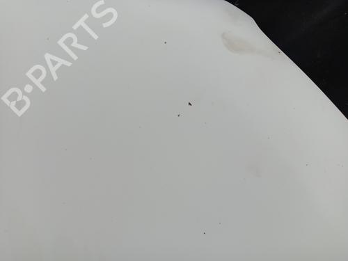 Hood NISSAN QASHQAI / QASHQAI +2 I (J10, NJ10, JJ10E) 1.5 dCi | BP27663947C1 